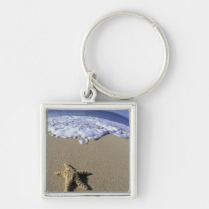 USA, Hawaii, Maui, Makena Beach, Sjöstjärna och Fyrkantig Silverfärgad Nyckelring