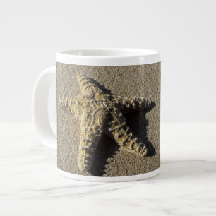 USA, Hawaii, Maui, Makena Beach, sjöstjärna och Jumbo Mugg