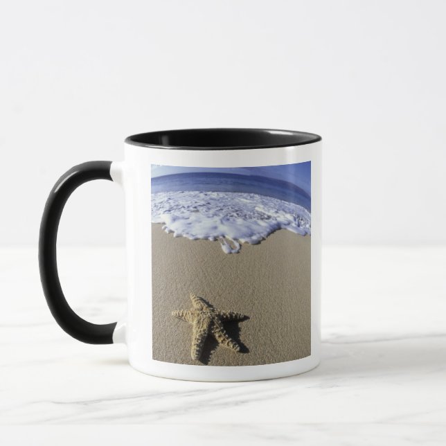 USA, Hawaii, Maui, Makena Beach, Sjöstjärna och Mugg (Vänster)