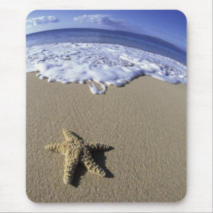 USA, Hawaii, Maui, Makena Beach, Sjöstjärna och Musmatta