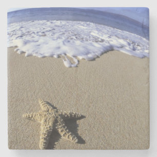 USA, Hawaii, Maui, Makena Beach, Sjöstjärna och Stenunderlägg