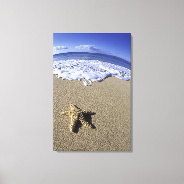 USA, Hawaii, Maui, Makena Beach, Starfish och Canvastryck (Framsida)