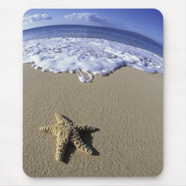 USA, Hawaii, Maui, Makena Beach, Starfish och Musmatta (Framsidan)