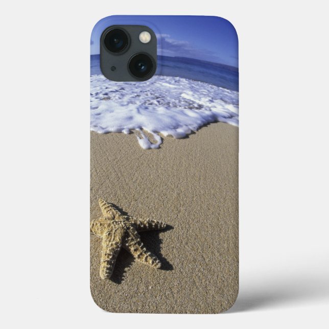 USA Hawaii, Maui, Makena strand, sjöstjärna och (Baksida)