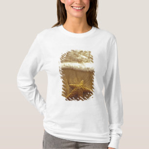 USA, Hawaii, Maui, Maui, Kihei, Sjöstjärna och T Shirt