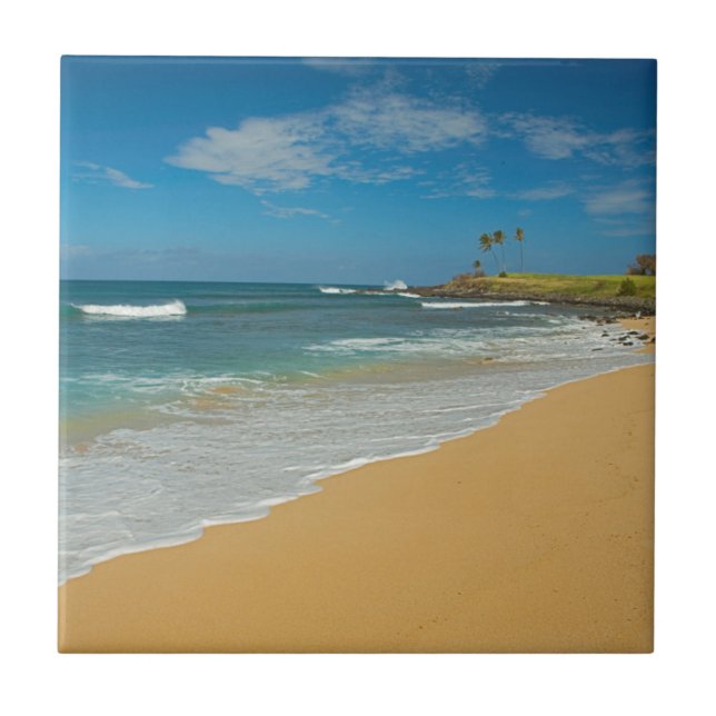 USA, Hawaii, Molokaiön, Three Mile Beach Kakelplatta (Framsidan)