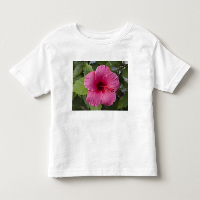 USA, Hawaii, Oahu. Hibiscus är de 2 T Shirt (Framsida)