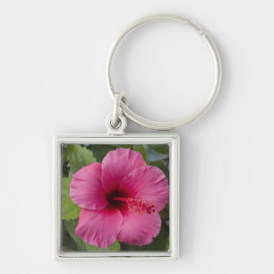 USA, Hawaii, Oahu. Hibiskus är den 2 Fyrkantig Silverfärgad Nyckelring