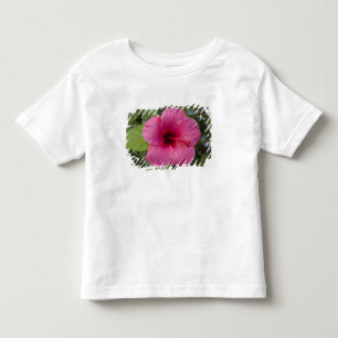 USA, Hawaii, Oahu. Hibiskus är den 2 T-shirt