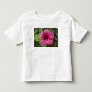 USA, Hawaii, Oahu. Hibiskus är den 2 T Shirt