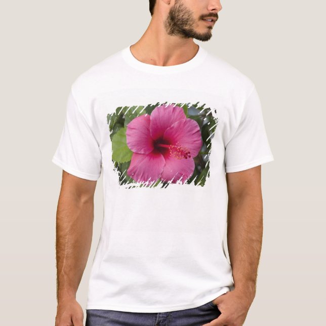 USA, Hawaii, Oahu. Hibiskus är den 2 Tee (Framsida)