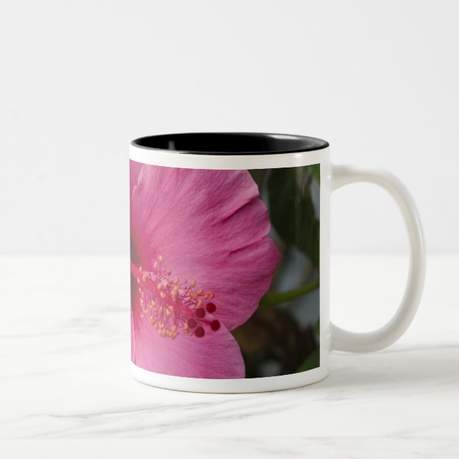 USA, Hawaii, Oahu. Hibiskus är den 2 Två-Tonad Mugg (Höger)