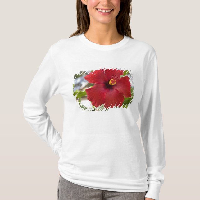 USA, Hawaii, Oahu. Hibiskus är den Tee Shirt (Framsida)
