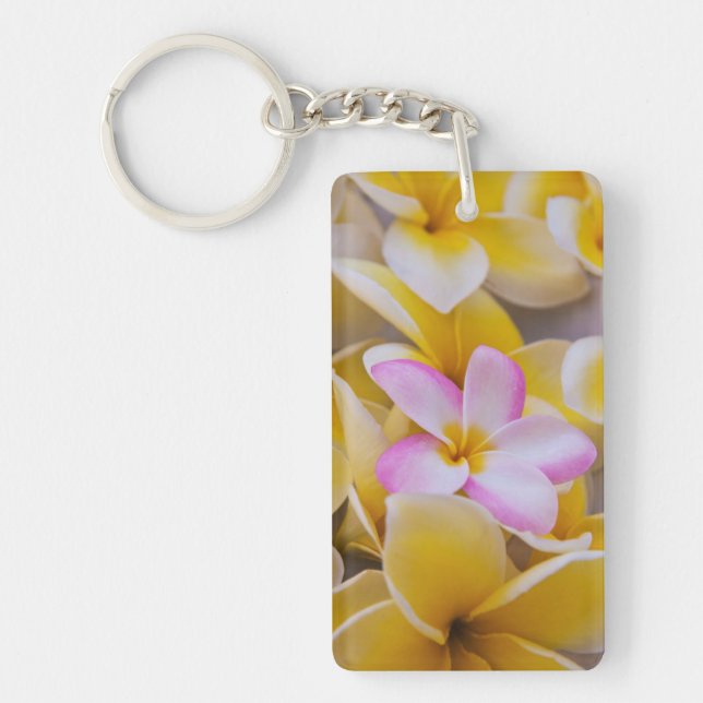 USA, Hawaii, Oahu, Plumeria blommor i blom 1 (Framsidan)