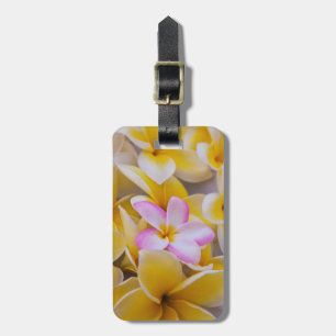 USA, Hawaii, Oahu, Plumeria blommor i blom 1 Bagagebricka