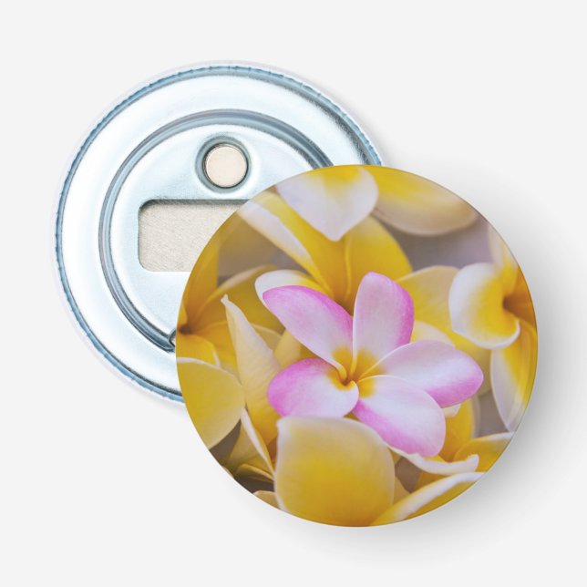 USA, Hawaii, Oahu, Plumeria blommor i blom 1 Flasköppnare (Framsidan)