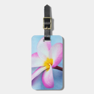USA, Hawaii, Oahu, Plumeria blommor i blom 2 Bagagebricka