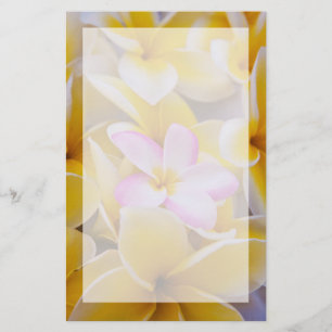 USA, Hawaii, Oahu, Plumeria blommor i blomning 1 Brevpapper