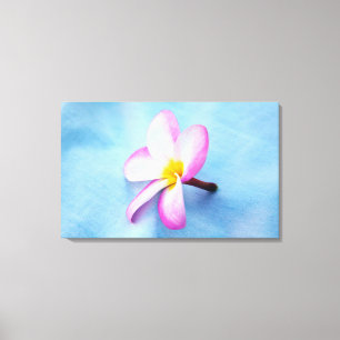 USA, Hawaii, Oahu, Plumeria blommor i blomning 2 Canvastryck