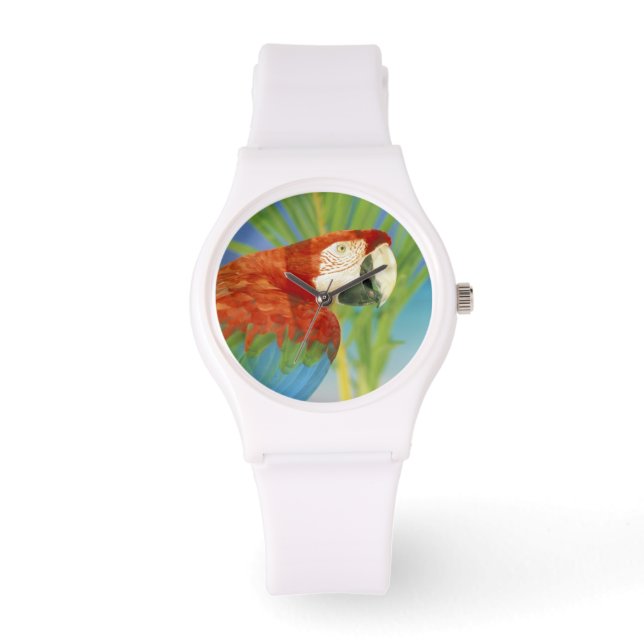 USA, Hawaii. Papegoja Armbandsur (Framsida)