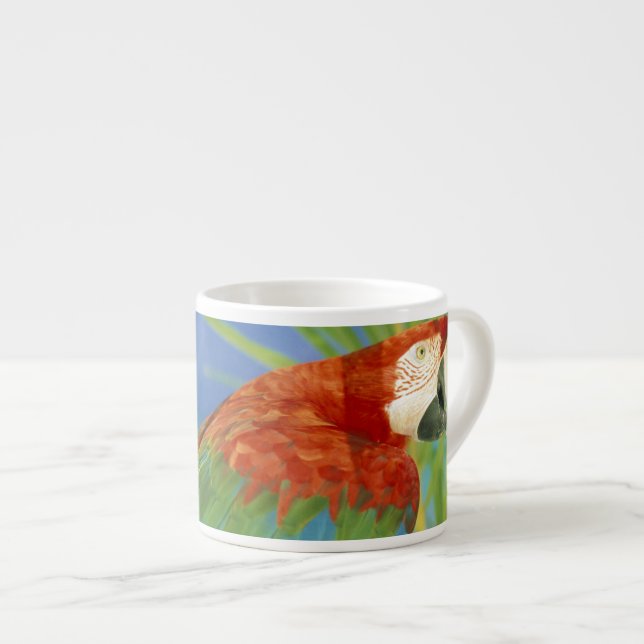 USA, Hawaii. Papegoja Espressomugg (Framsida höger)