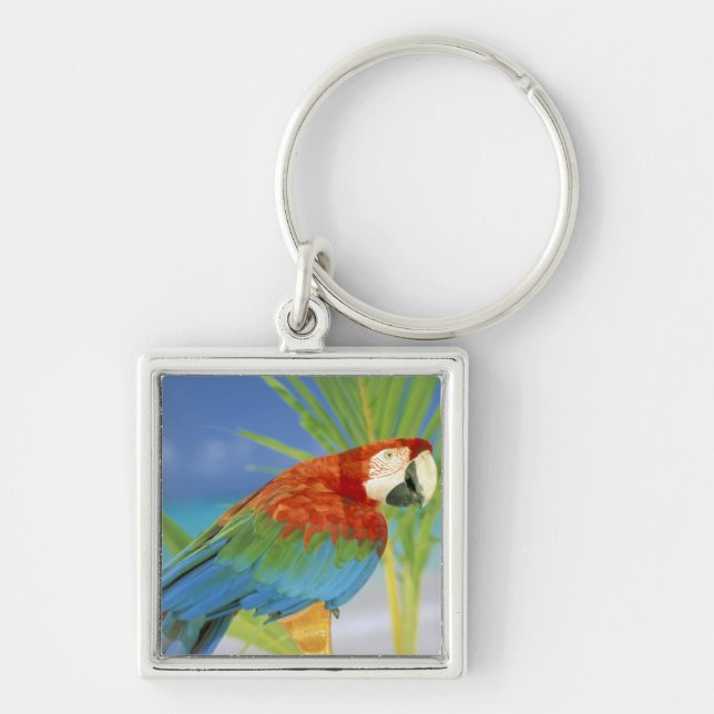 USA, Hawaii. Parrot Fyrkantig Silverfärgad Nyckelring (Framsidan)