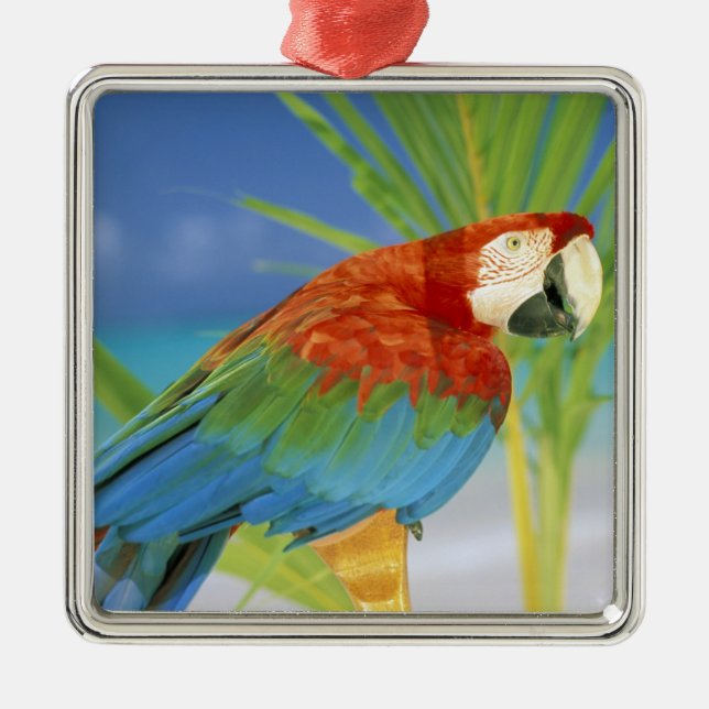USA, Hawaii. Parrot Julgransprydnad Metall (Framsidan)