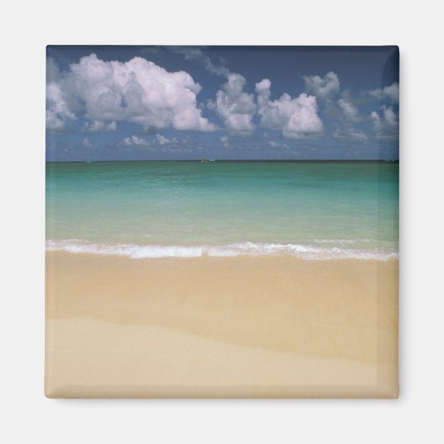 USA, Hawaii. Strand scen Magnet (Framsidan)