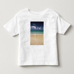 USA, Hawaii. Strand scen T Shirt