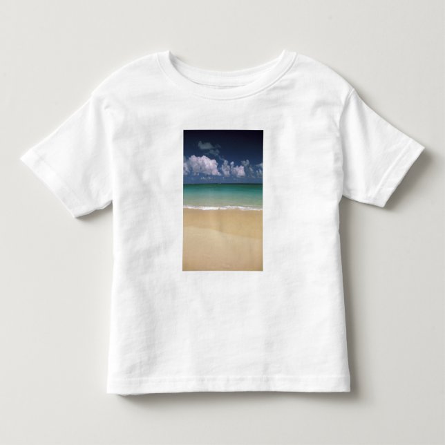 USA, Hawaii. Strand scen T Shirt (Framsida)