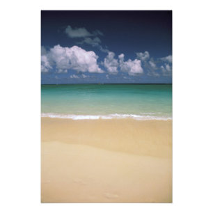 USA, Hawaii. Strandscen Fototryck