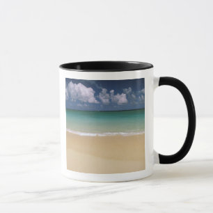 USA, Hawaii. Strandscen Mugg