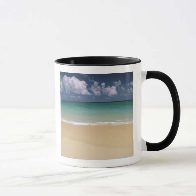 USA, Hawaii. Strandscen Mugg (Höger)