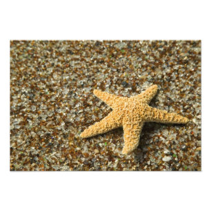 USA, HI, Kauai, Glasstrand med sjöstjärna Fototryck