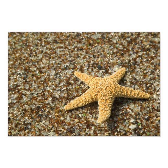 USA, HI, Kauai, Glasstrand med sjöstjärna Fototryck (Framsidan)