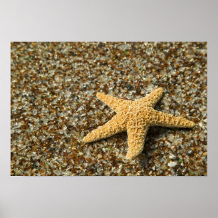 USA, HI, Kauai, Glasstrand med sjöstjärna Poster