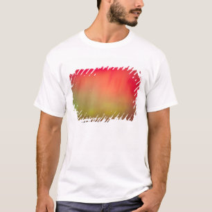 USA, Idaho. Aurora borealis, norrsken kl 2 Tee