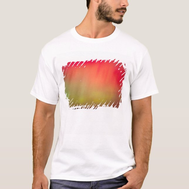 USA, Idaho. Aurora borealis, norrsken kl 2 Tee (Framsida)