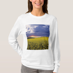 USA, Idaho, Swan Valley. En eldig solnedgång bryte T-shirt
