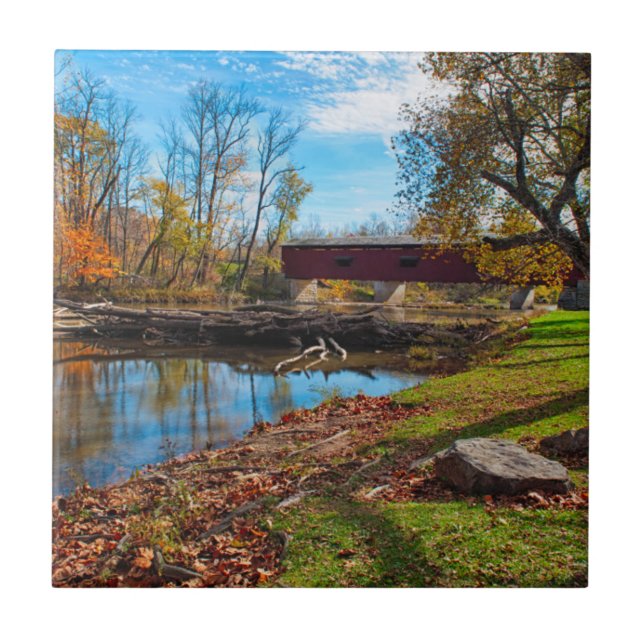 USA, Indiana, Cataract Falls State Recreation Kakelplatta (Framsidan)