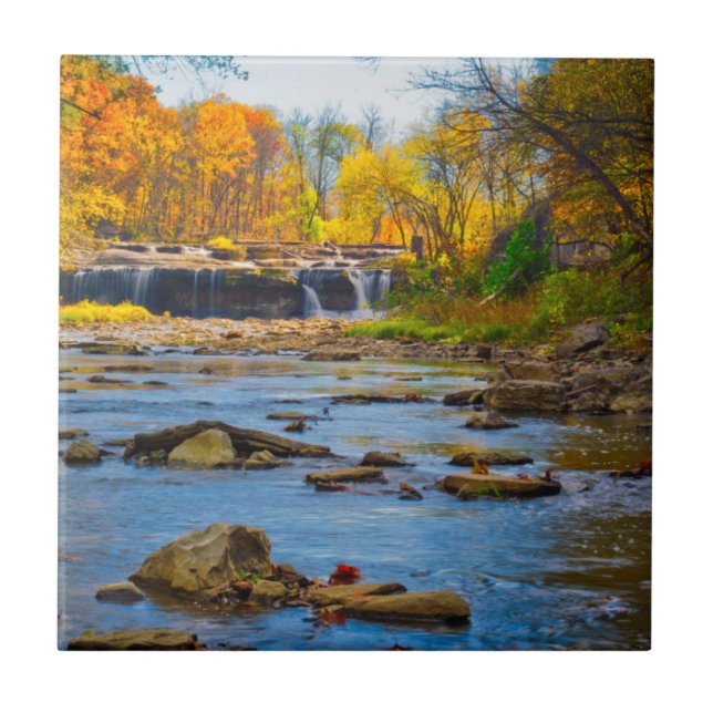USA, Indiana. Cataract Falls State Recreation Kakelplatta (Framsidan)