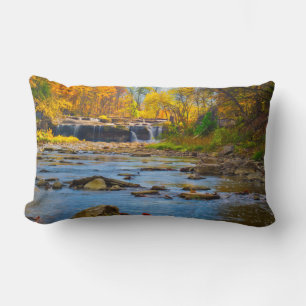 USA, Indiana. Cataract Falls State Recreation Lumbarkudde