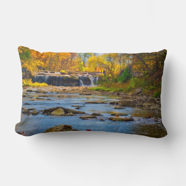 USA, Indiana. Cataract Falls State Recreation Lumbarkudde (Framsida)