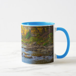 USA, Indiana. Cataract Falls State Recreation Mugg