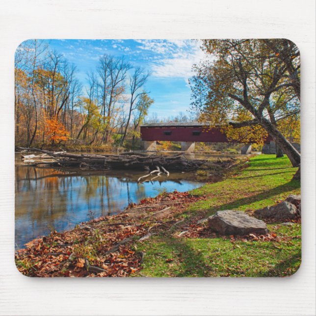 USA, Indiana, Cataract Falls State Recreation Musmatta (Framsidan)