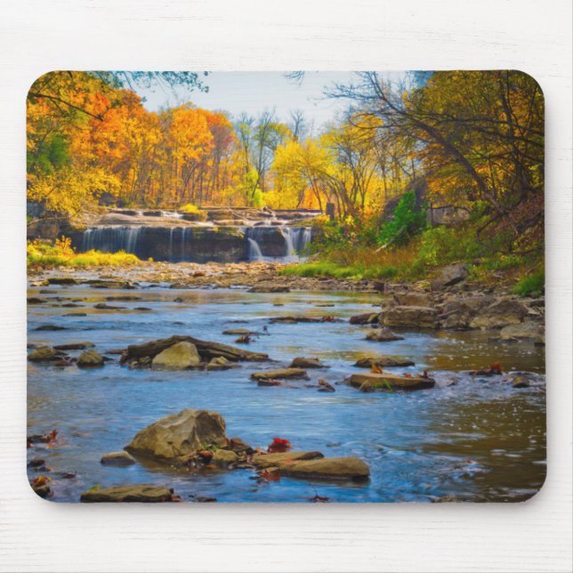 USA, Indiana. Cataract Falls State Recreation Musmatta (Framsidan)