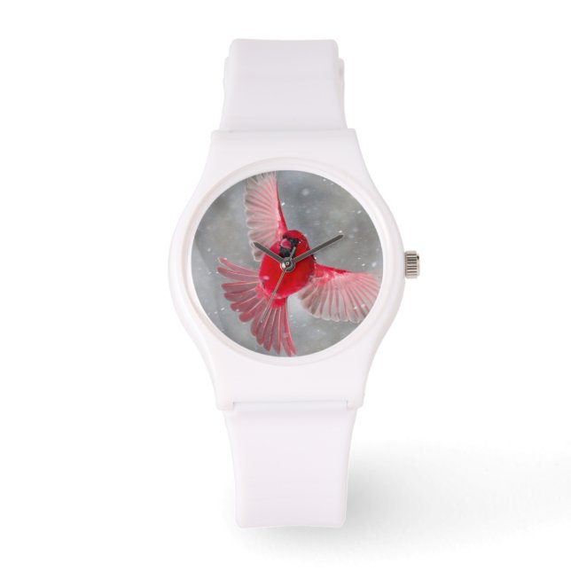 USA, Indiana, Indianapolis. En han kardinal Armbandsur (Framsida)