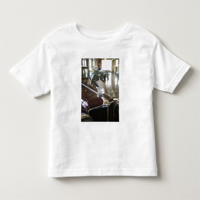 USA Indiana som är kastanjebrun: Binda med rep, Tröja (Framsida)