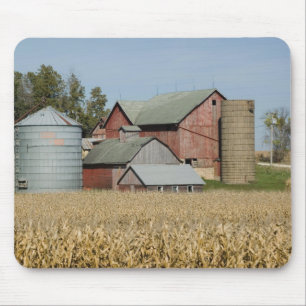 USA, IOWA, Froelich: Gammal gård Musmatta