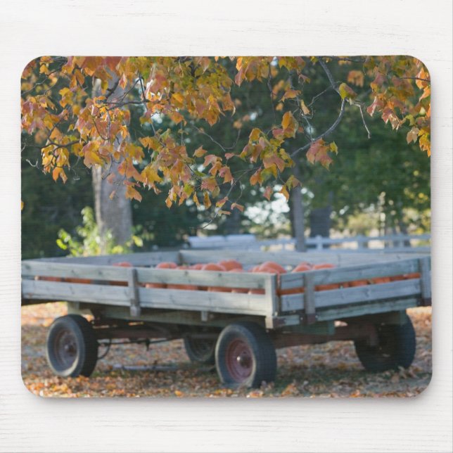 USA IOWA, Madison County, Winterset: Howells Musmatta (Framsidan)